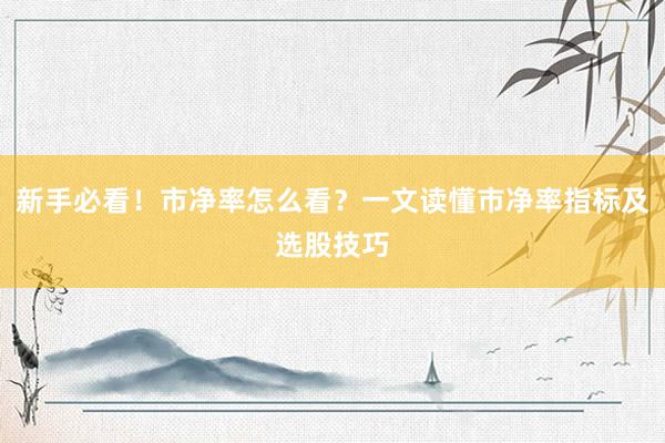 新手必看！市净率怎么看？一文读懂市净率指标及选股技巧