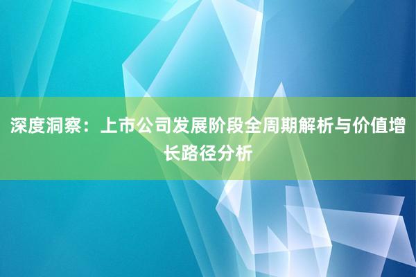 深度洞察：上市公司发展阶段全周期解析与价值增长路径分析