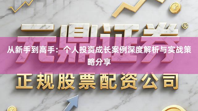 从新手到高手：个人投资成长案例深度解析与实战策略分享