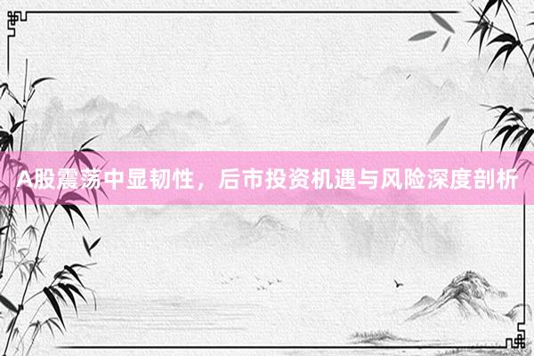 A股震荡中显韧性，后市投资机遇与风险深度剖析