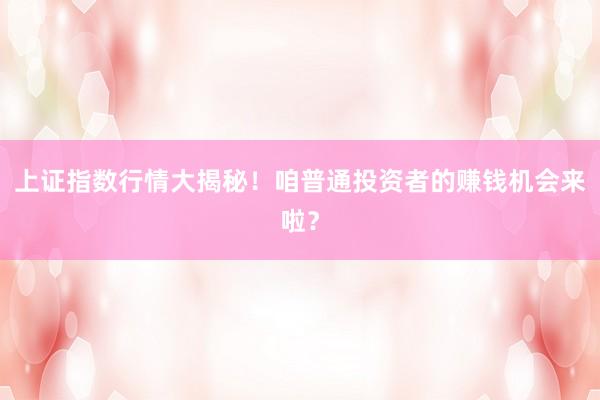 上证指数行情大揭秘！咱普通投资者的赚钱机会来啦？