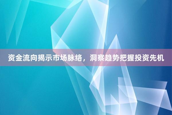 资金流向揭示市场脉络，洞察趋势把握投资先机