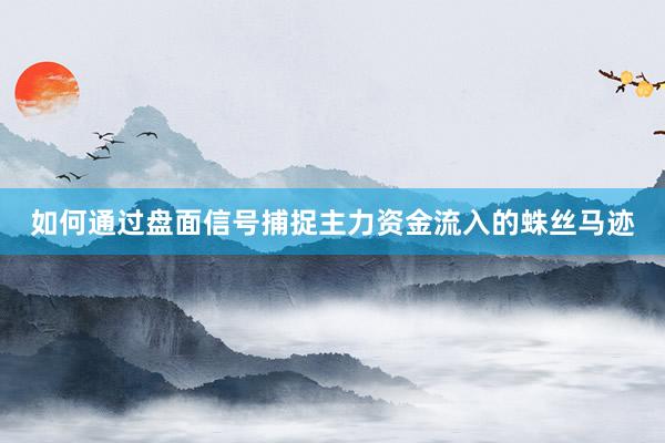 如何通过盘面信号捕捉主力资金流入的蛛丝马迹
