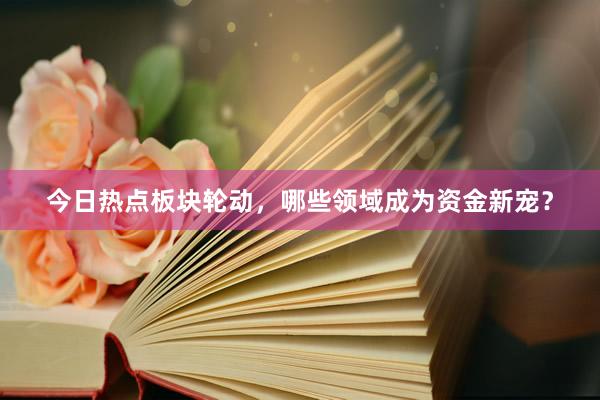 今日热点板块轮动，哪些领域成为资金新宠？