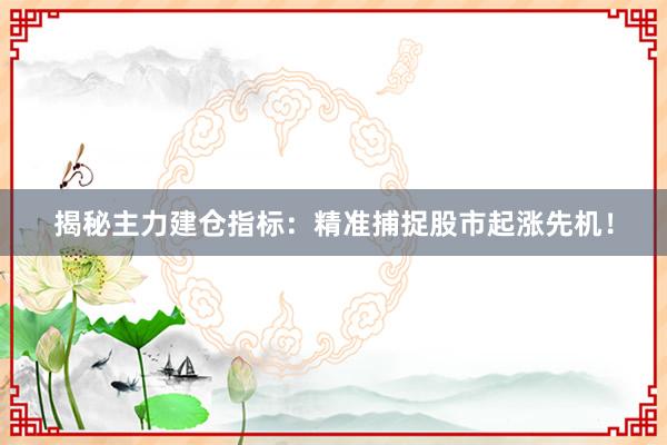 揭秘主力建仓指标：精准捕捉股市起涨先机！