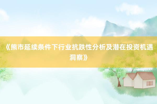 《熊市延续条件下行业抗跌性分析及潜在投资机遇洞察》