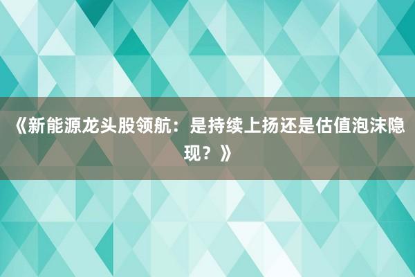 《新能源龙头股领航：是持续上扬还是估值泡沫隐现？》