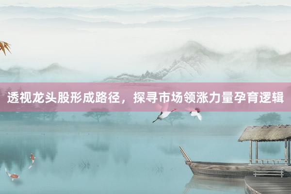 透视龙头股形成路径,探寻市场领涨力量孕育逻辑