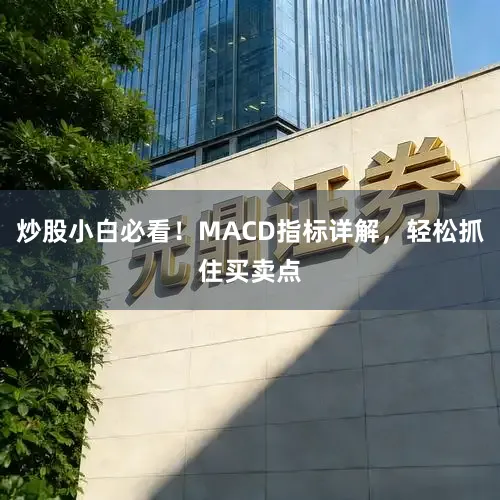 炒股小白必看！MACD指标详解，轻松抓住买卖点