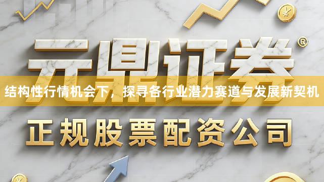 结构性行情机会下,探寻各行业潜力赛道与发展新契机