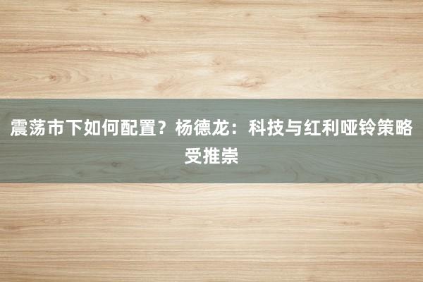 震荡市下如何配置？杨德龙：科技与红利哑铃策略受推崇